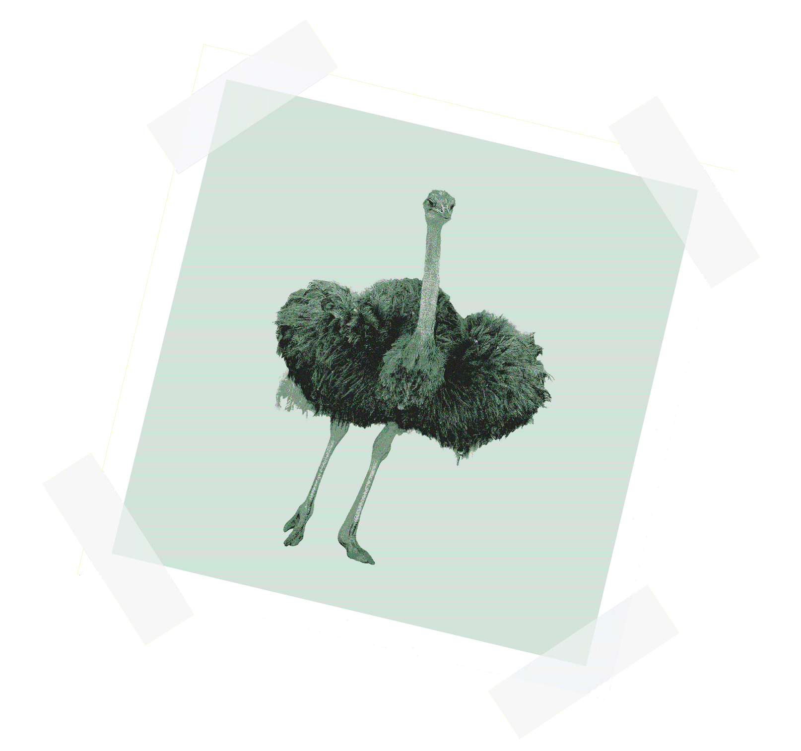 atypique